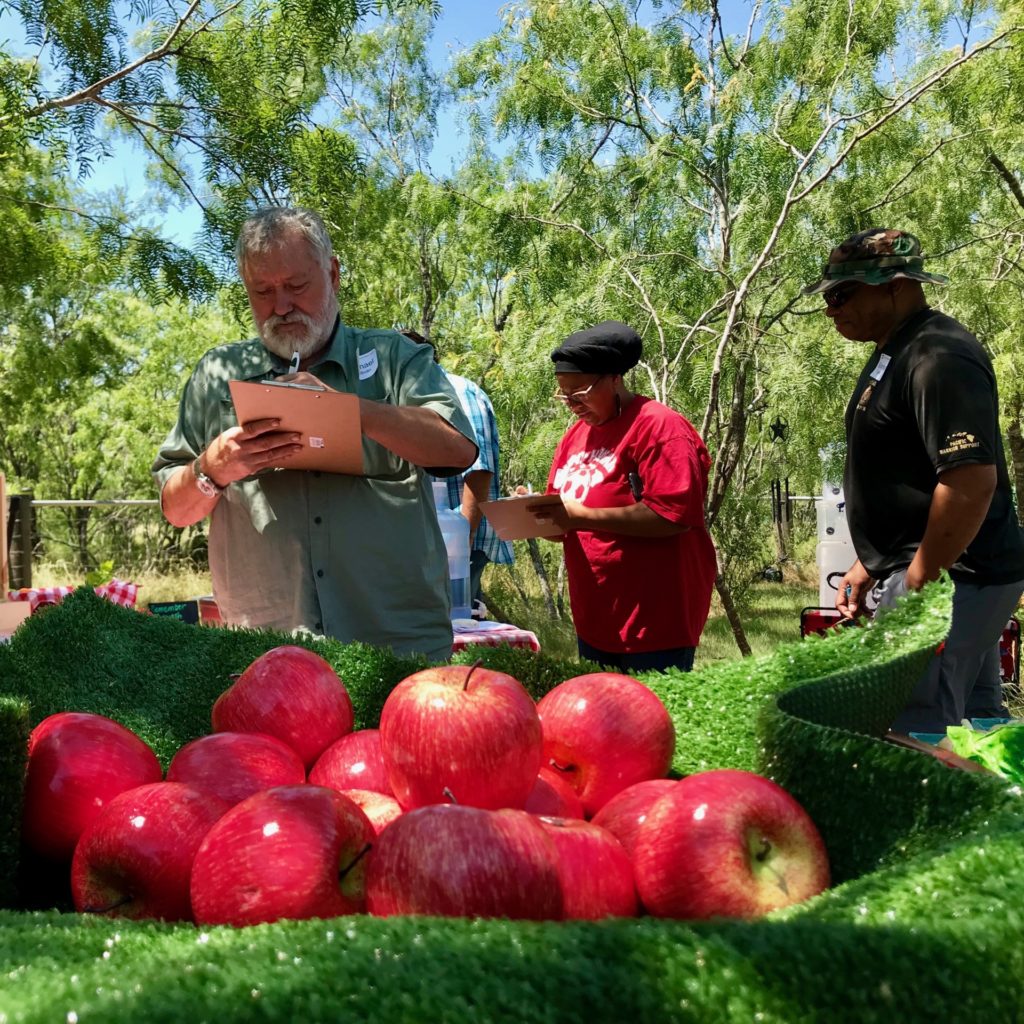 Veterans participating in a produce workshop as part of the Battleground to breaking Ground program 
