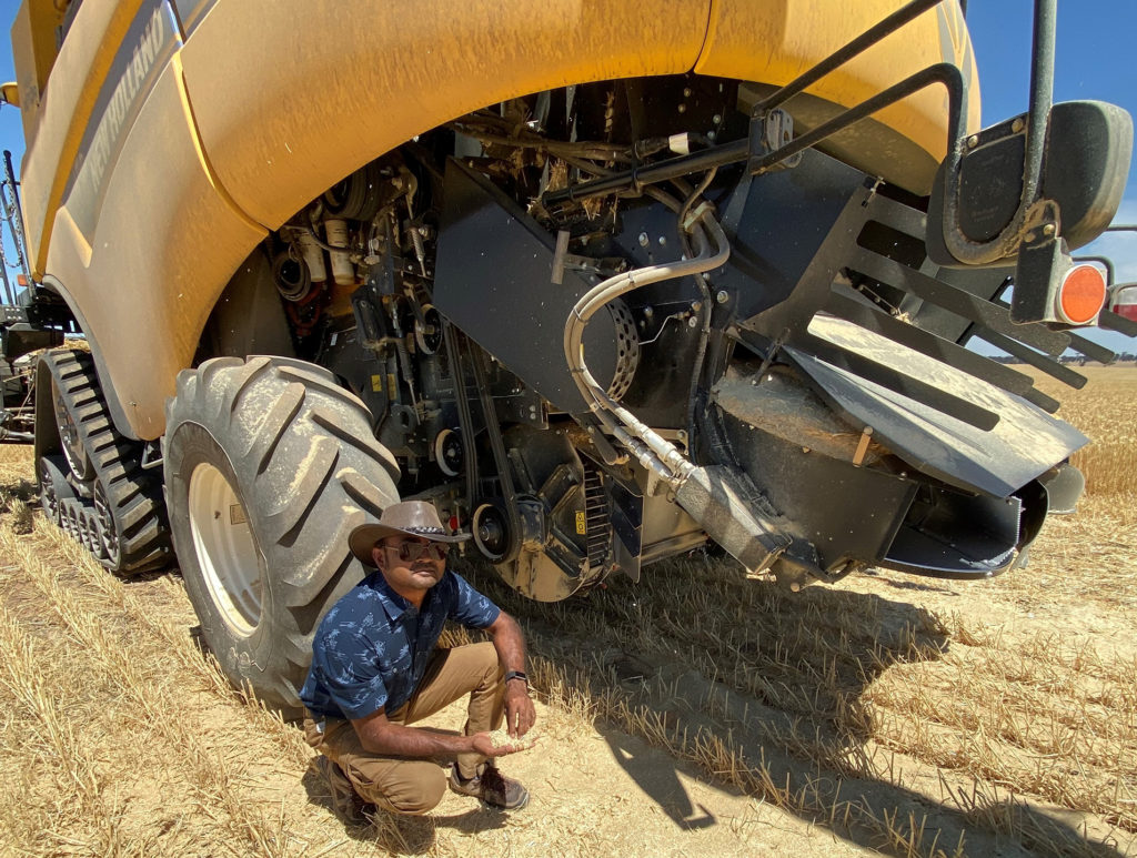 A man squats beside a large yellow combine retrofitted with an impact mill as a weed management strategy