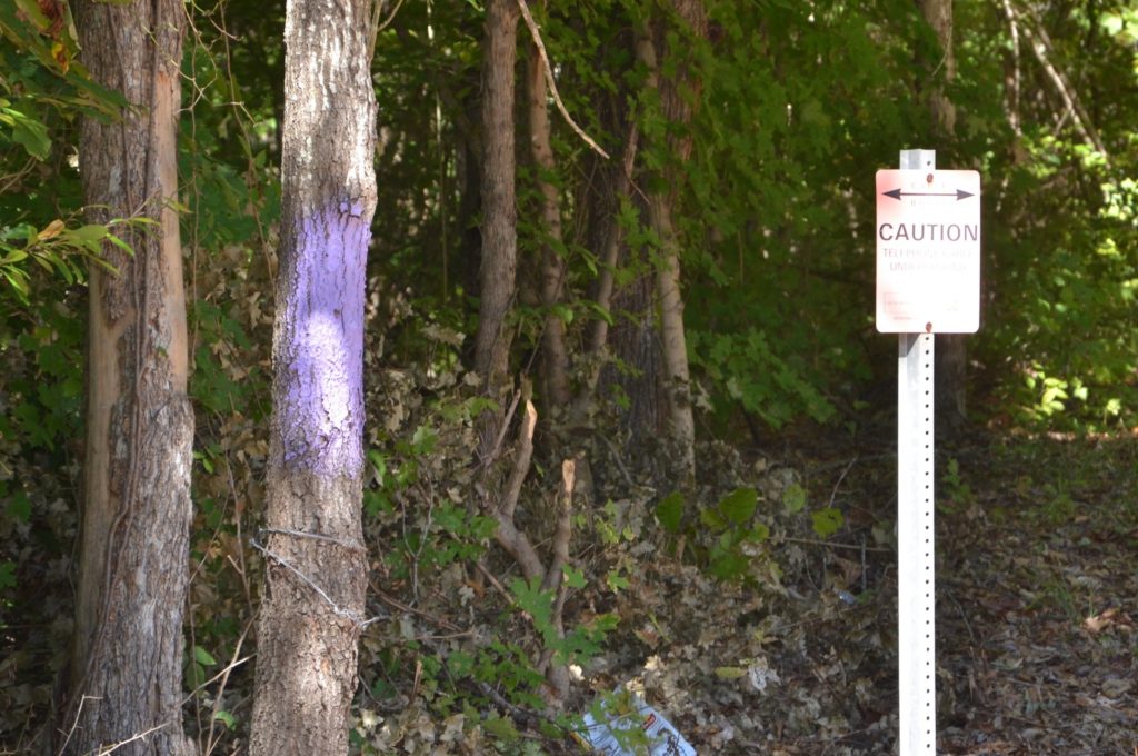 The law says purple paint on trees means "no trespassing"