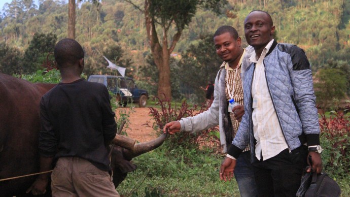 Archip Lobo , right, and landowner with cow in eastern DRC. 