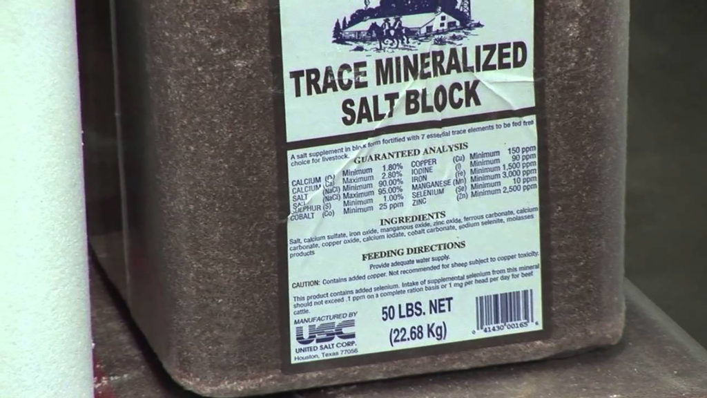 trace mineral salt block showing list of ingredients