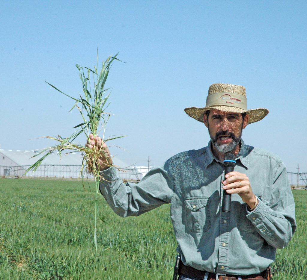 Dr. Calvin Trostle holding wheat addressing a crowd outside AgriLife facility
