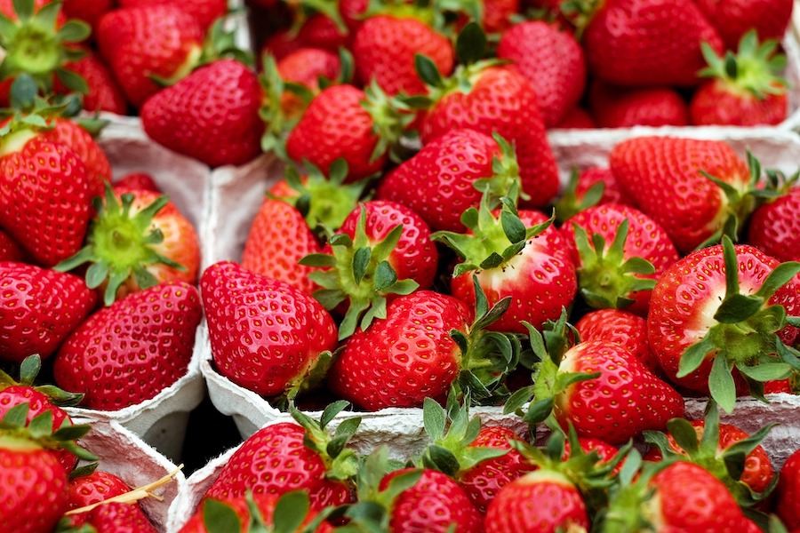 bright red colored strawberries close up