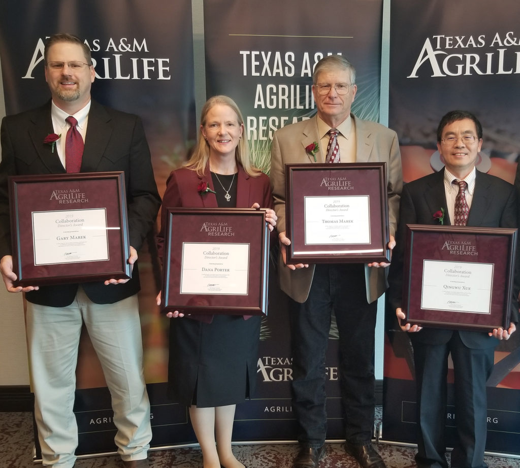 Blue Legacy Award-winning irrigation management team - four individuals standing holding plaques after winning the Texas A&M AgriLife Research Director's Award