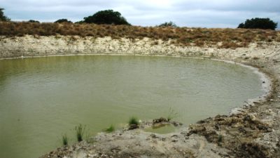 AgriLife photo of pond
