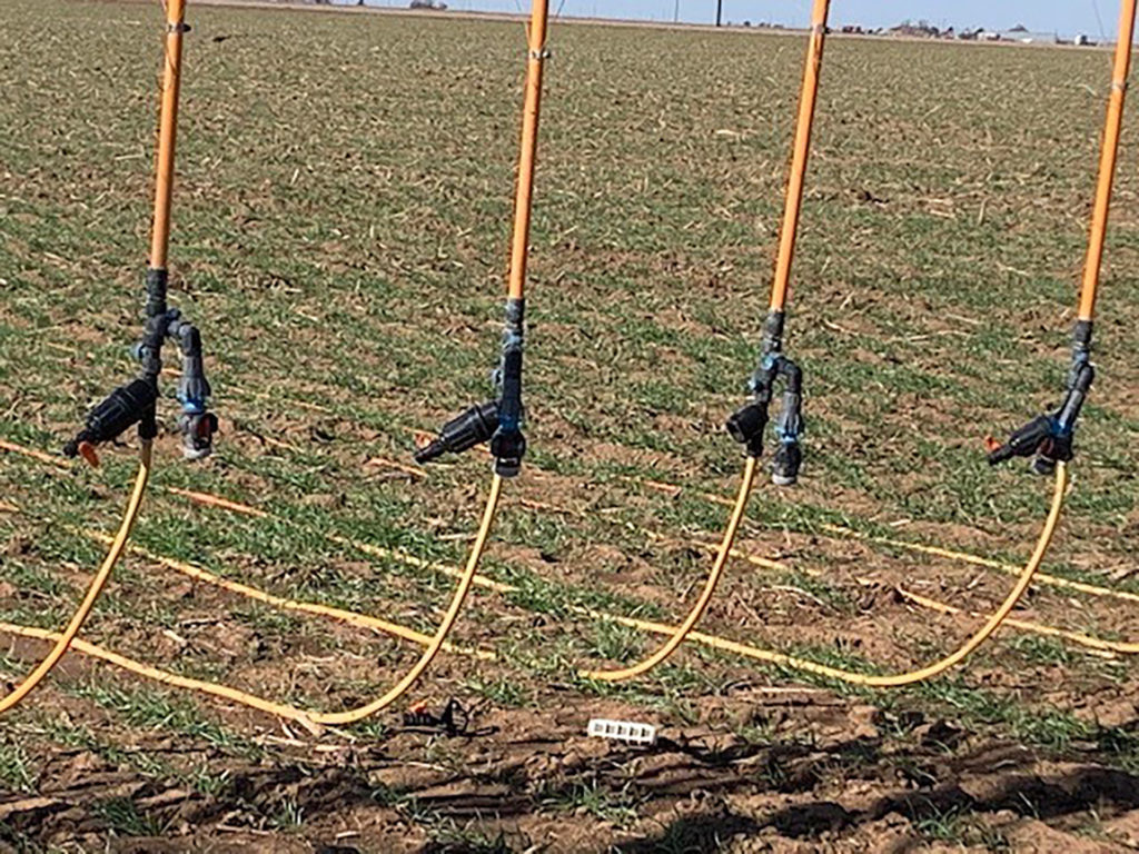drag hoses from a center pivot will be used in specialty crops
