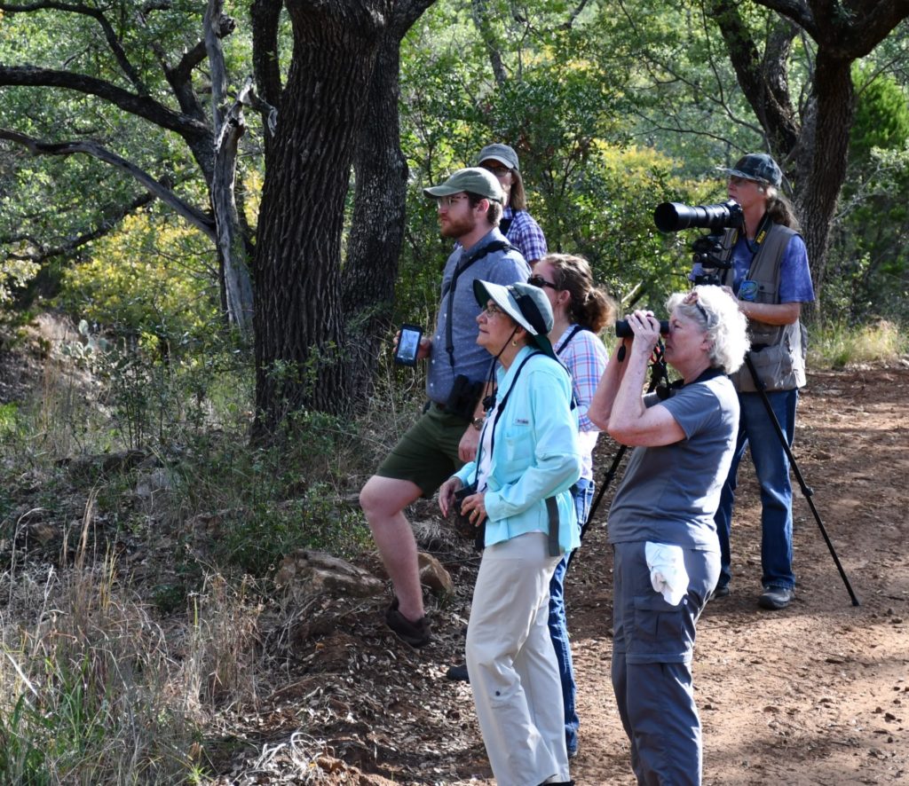 people standing under a tree have cameras and binoculars in hand as they look for birds