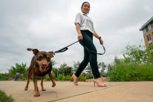 Stephanie Young and her dog Atasi model the latest model of her SKYPaws device. 