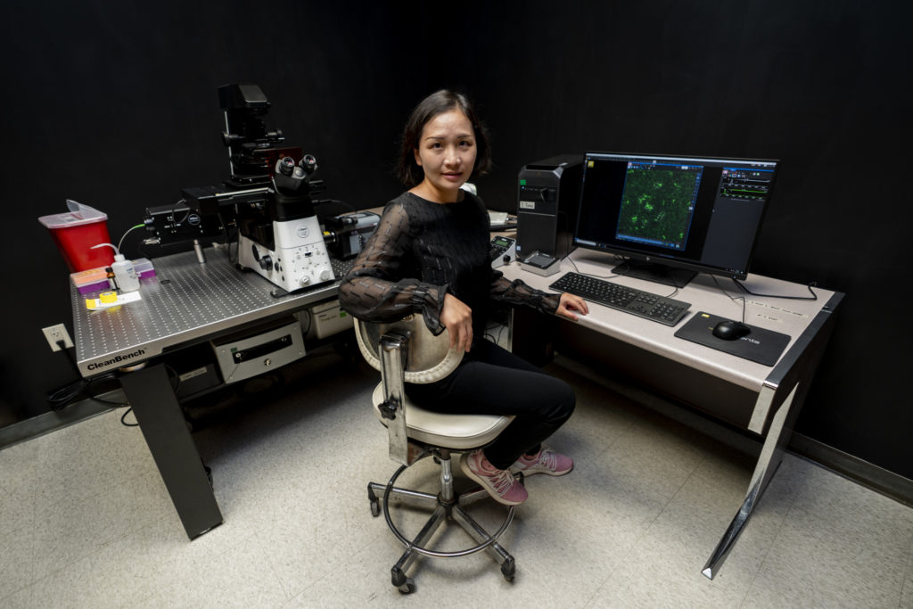 Woman, Dr. Lanying Zeng, sitting in a chair at a desk in her laboratory where she is conducting a study with phages.  