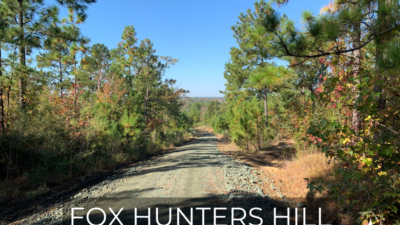 Fox Hunter's Hill forest legacy grants
