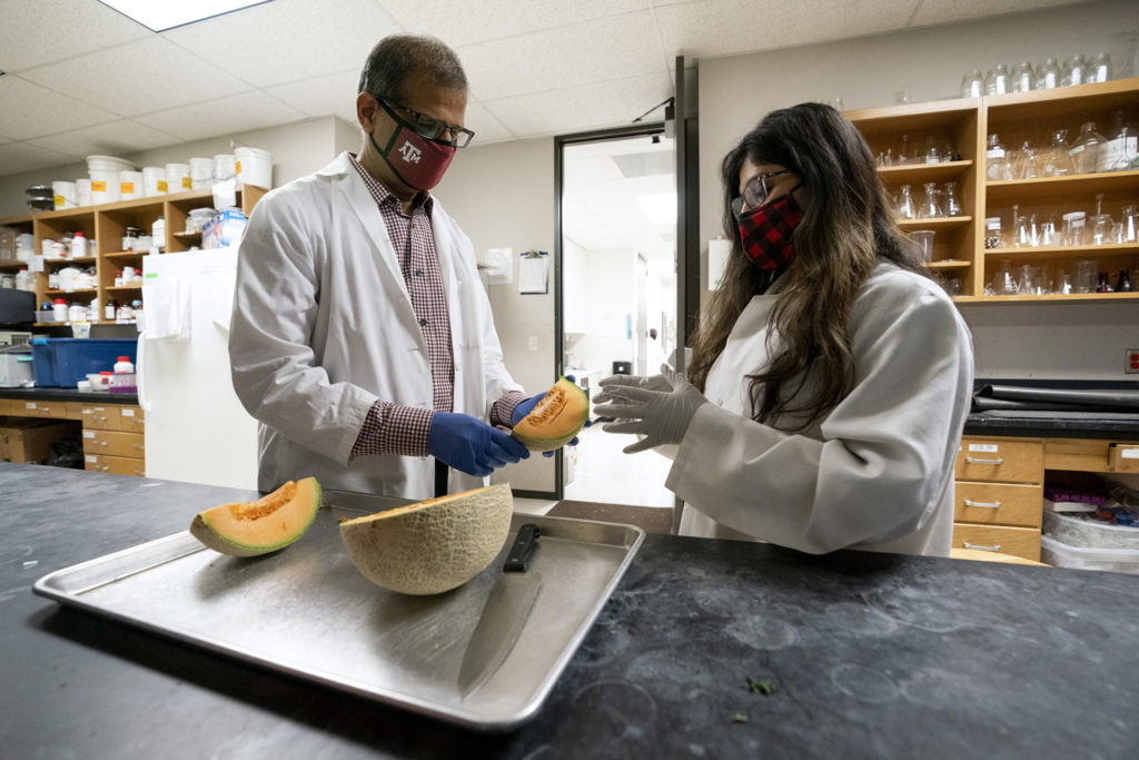Two people, Bhimu Patil and a student, in a lab slicing a canteloupe
