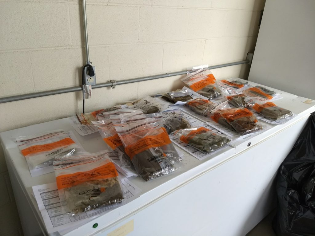 manure samples in clear plastic bags stacked on a shelf ready for testing