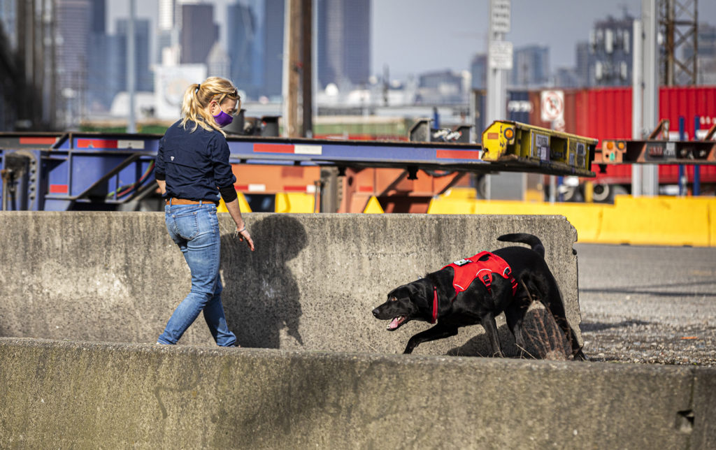 Woman works with a black dog in the middle of a port setting with industrial machinery in the background.