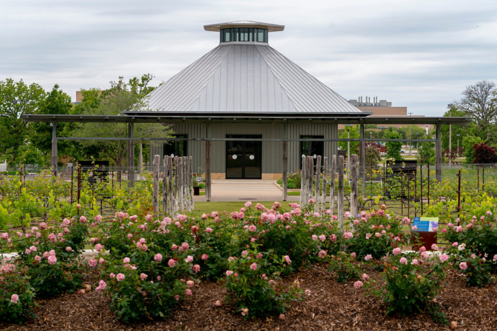 Pavilion and rose gardens at The Gardens at Texas A&M University.