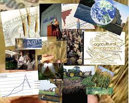 Collage of photos reflecting agriculture - word cloud that prominently says agricultural economics, charts, money, wheat, tractor, crops