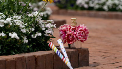 two party horns in front of flowers with a #3 candle indicating the third birthday of The Gardens