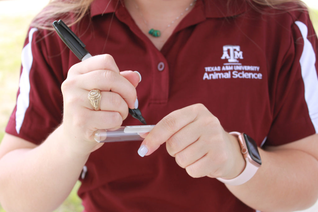 a pen in the hands of a young woman marks on a blood sample test tube