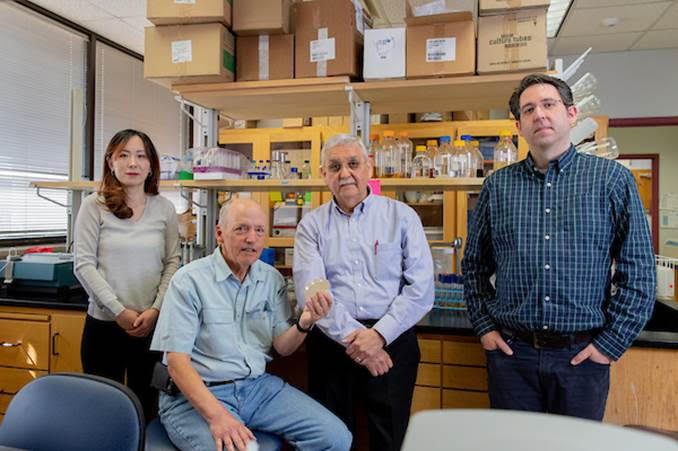 One woman and three men posing in a lab environment. Photo of Mei Liu, Ph.D., Ry Young, Ph.D., Carlos Gonzalez, Ph.D., Jason Gill, Ph.D at the Center of Phage Technology Lab