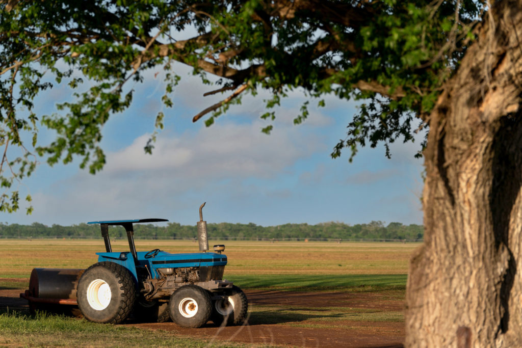 Blue tractor in a field with tree in foreground