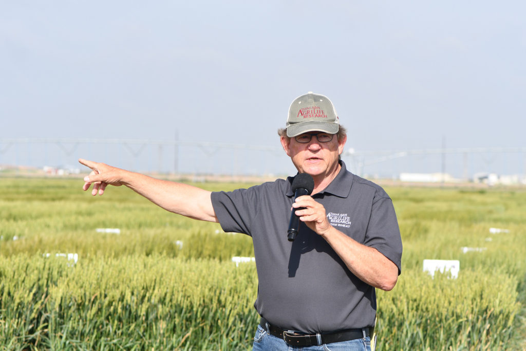 Man standing in a field of green wheat pointing off to the side