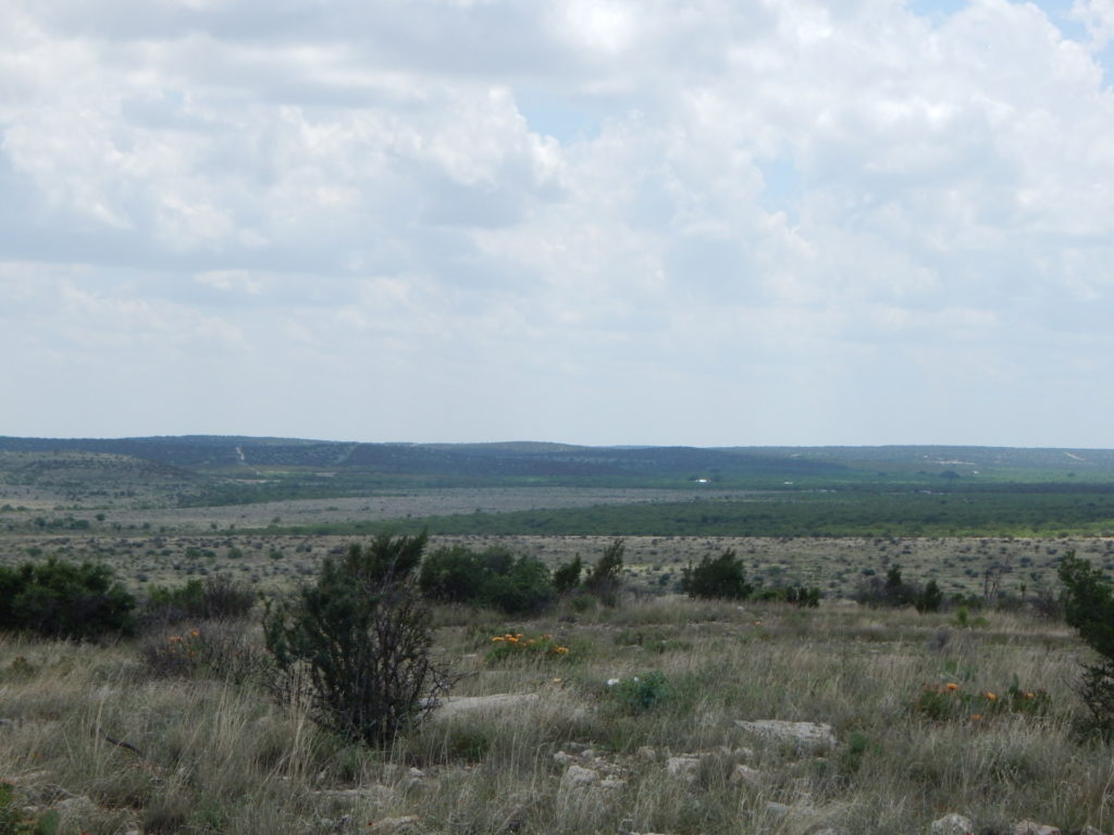 A rolling ranch landscape dotted with cedar trees and dry grass. Dry Creek Ranch landscape in San Angelo, Texas.