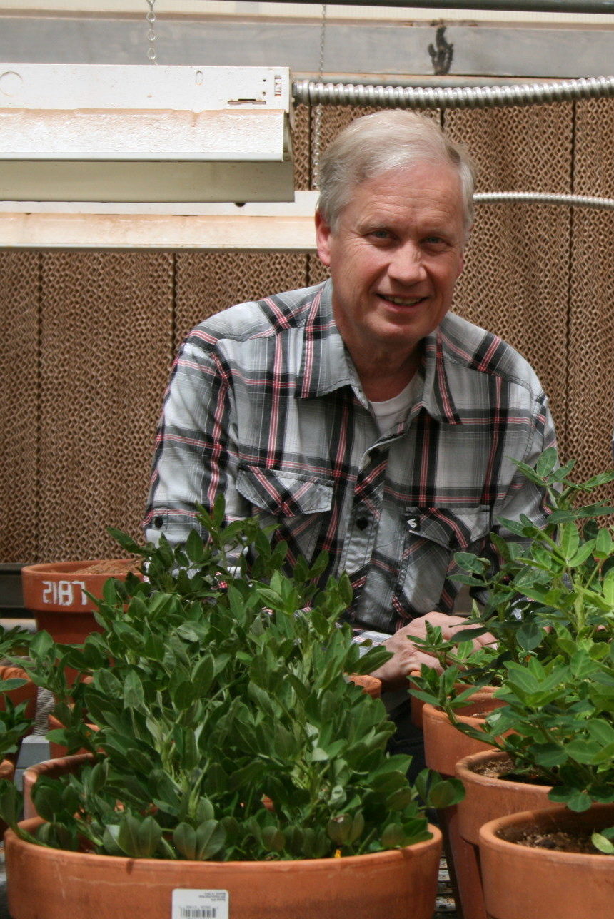 Man sitting behind some potted peanut plants.