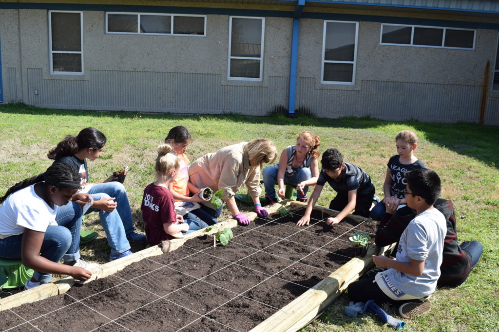 Elementary school kids preparing soil for planting vegetable garden