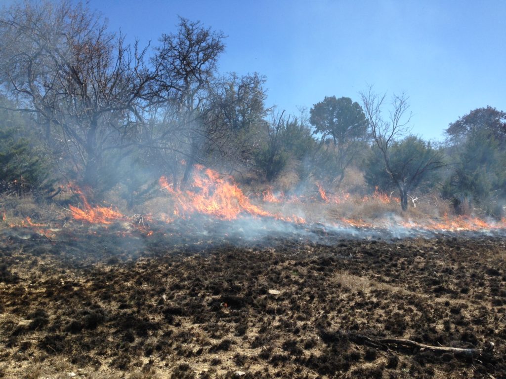 An AgriLife Extension prescribed burn fire in a West Texas pasture, part of a brush management approach to land stewardship.