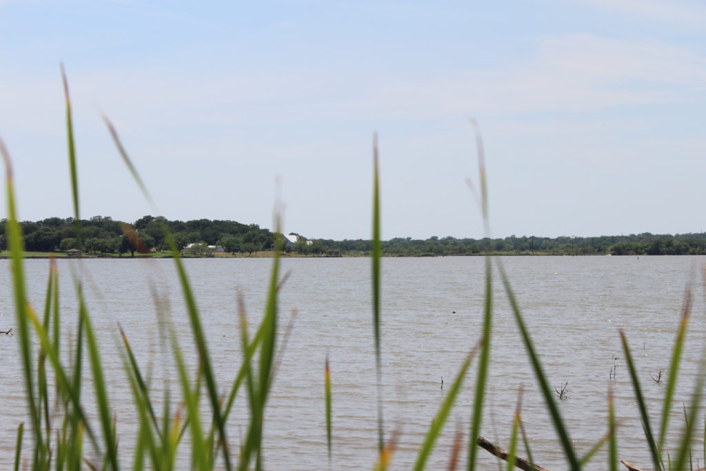 Photo of a large lake. The water can be seen through some out-of-focus grasses in the foreground of the image. The far shore of the lake can be seen in the background of the image. This is Lake Granbury.