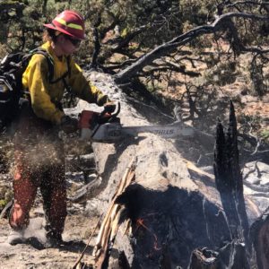 Lone Star State Type II Initial Attack Hand Crew aids in wildfire relief