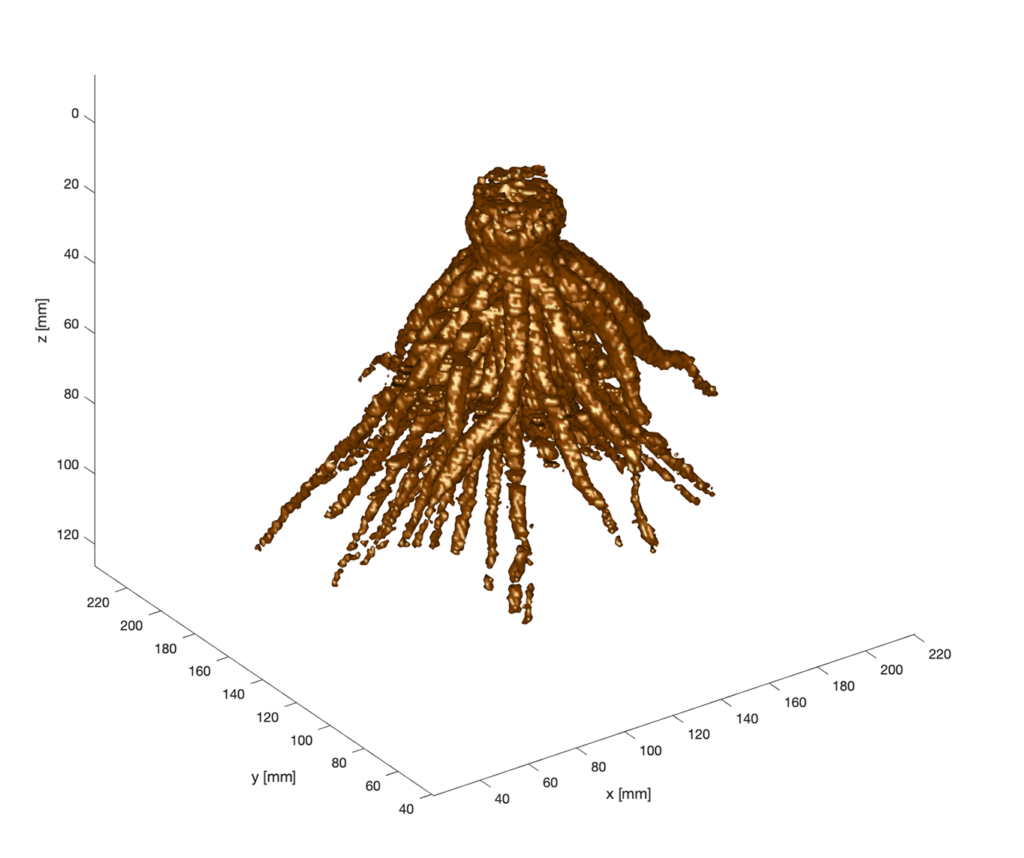 a 3D image of roots that were reconstructed into a graph for analysis