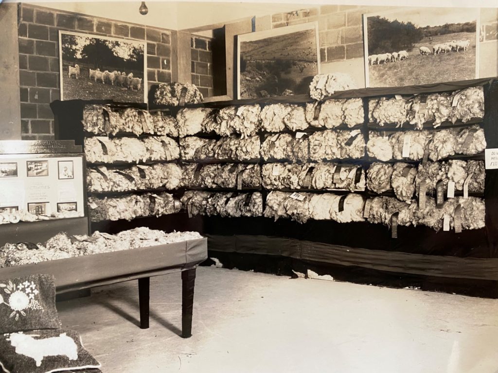 A black and white photo of a wool exhibition from the 1930s. There are rows and rows of fleece samples in shelves.