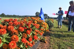 People standing by brightly colored orange Zinnias at the East Texas Horticultural Field Day