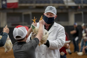 Man with a mask looking at a chicken held by a kid.