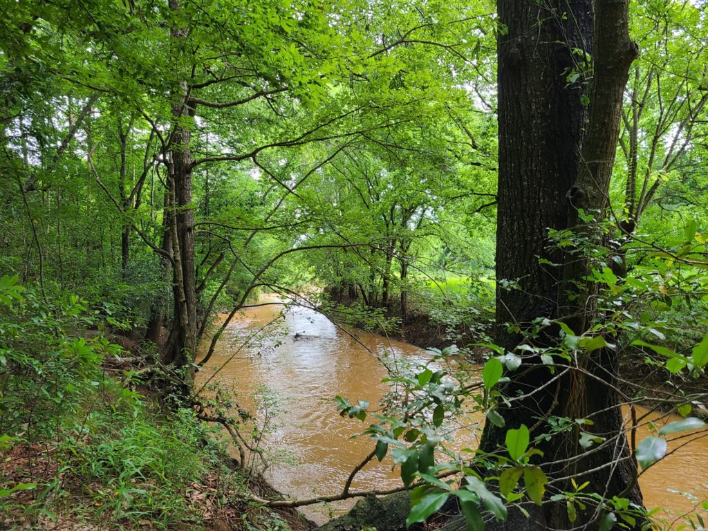 A muddy stream running diagonally through some lightly forested area. This is a portion of the La Nana Bayou.