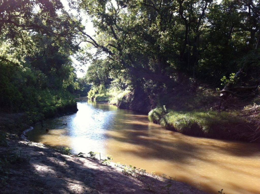 A brown river with banks lined with lush trees and vegetation that is part of the Leon Watershed in Texas.
