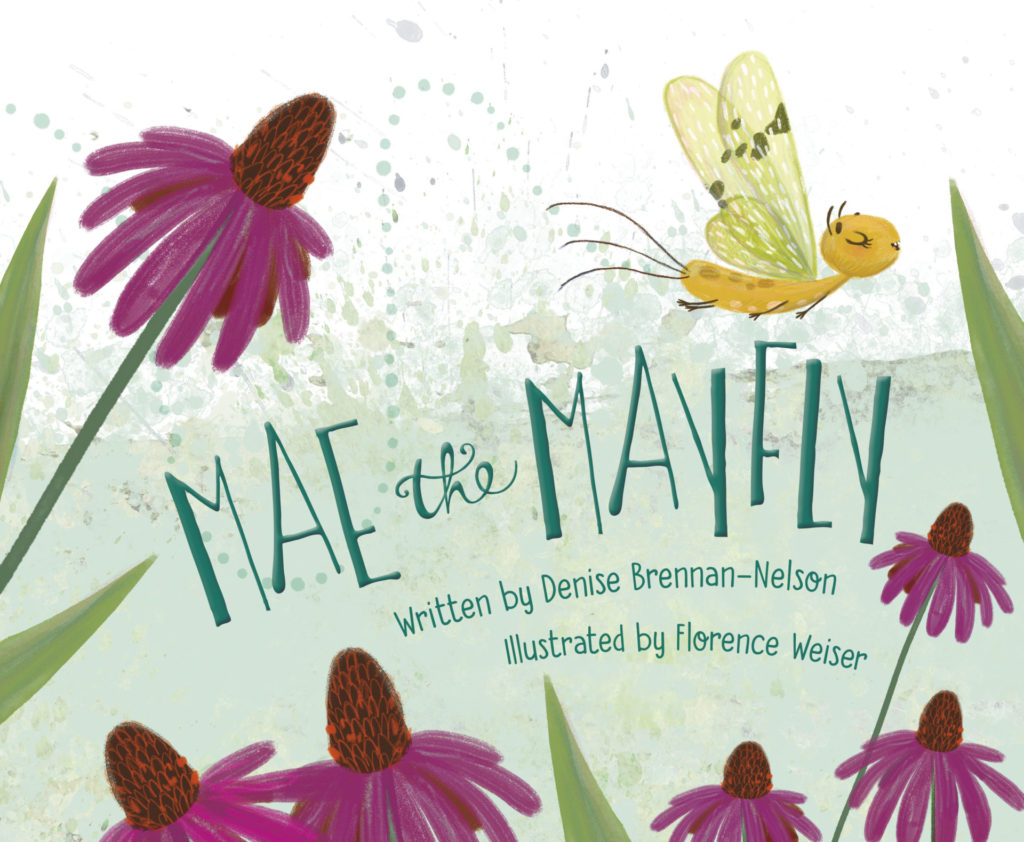 Cover for "Mae the Mayfly" children's book