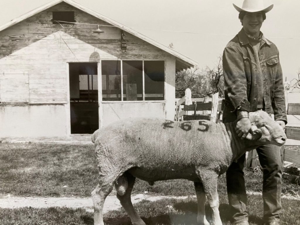 A black and white photo of a rancher with a sheep at the Texas A&M AgriLife Sonora Station circa 1980s