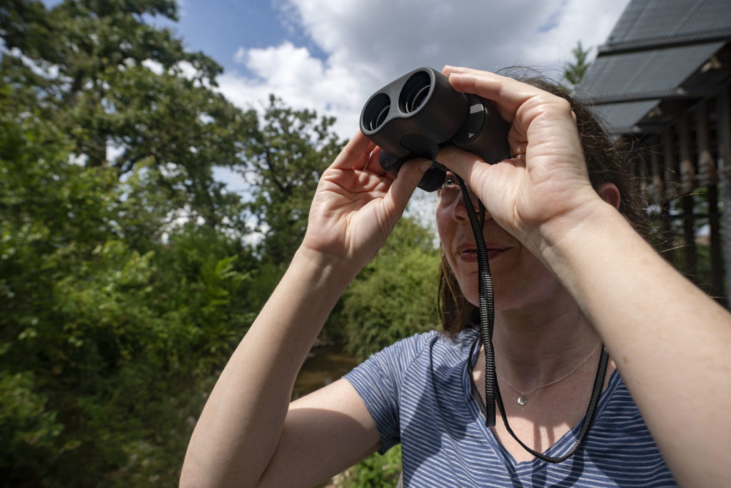 A woman is outside peering through binoculars looking for birds at the Texas A&M Gardens