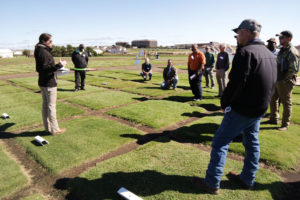 A woman stands and addresses a group of visitors at a Turfgrass field day