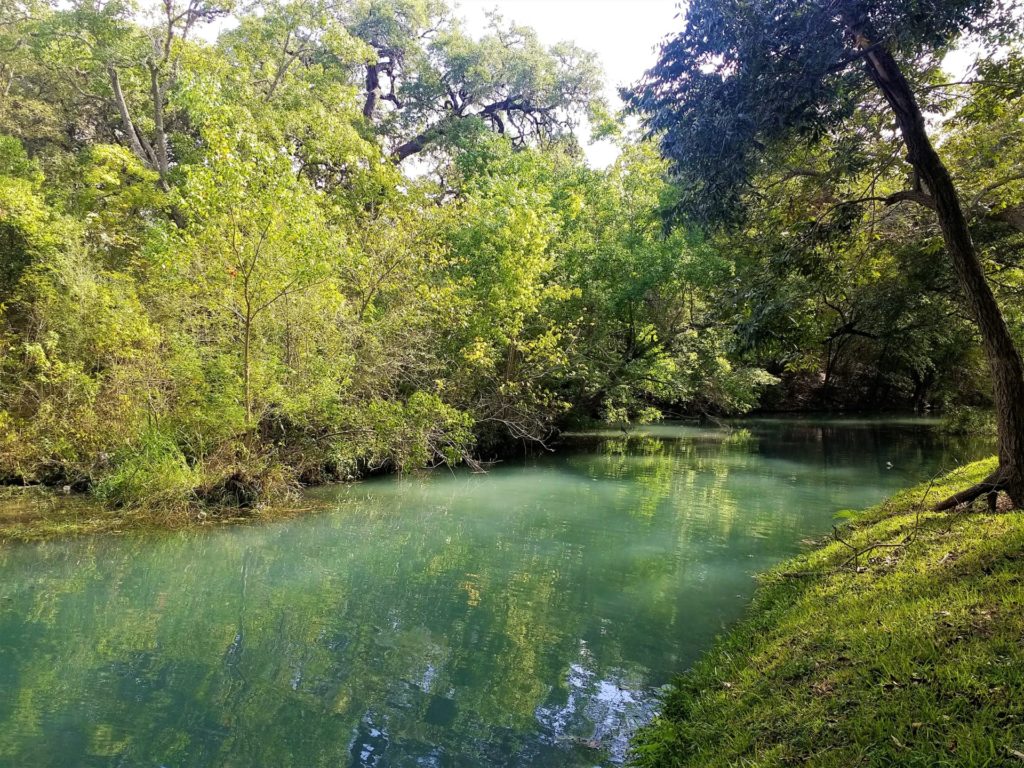 A colorful photo of a sun-dappled creek. The portions of the wide curving creek struck by the sun are turquoise and reflect the bright greens and yellows of the surrounding trees. In the shade, the water looks deep green or even black. The light wooded scene is very picturesque. This is a portion of the Geronimo and Alligator creeks watershed. 