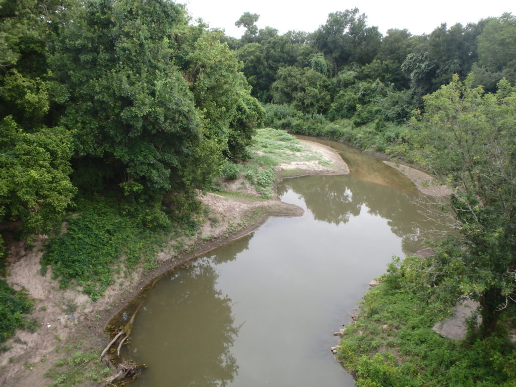A photo of a meandering, muddy, shallow river cutting through dense green foliage on an overcast day. The photo is from a high vantage point, as though the photographer was on a bridge over the river.