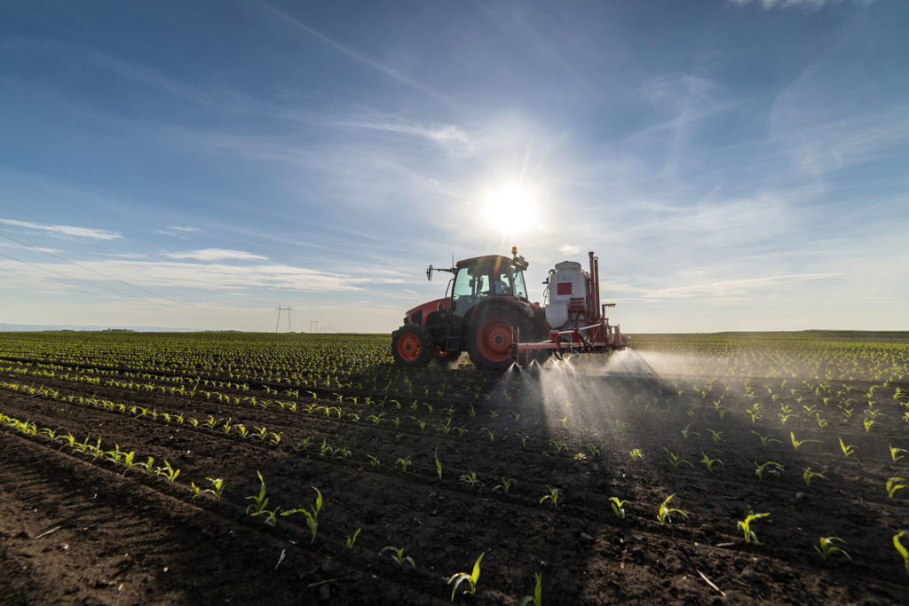 A tractor spraying a crop.
