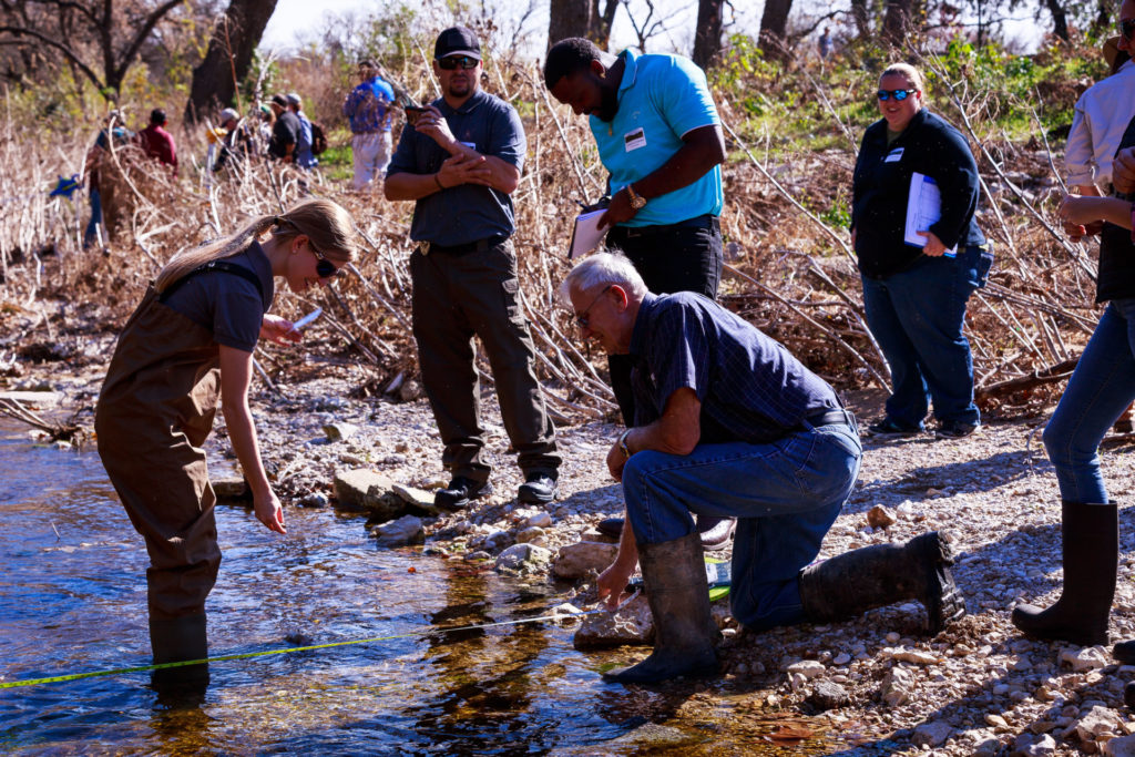 A dozen people work around a stream in a low, brushy area. A young woman in waders stands shin-deep in the stream and seems to be instructing an older man who is kneeling on the stream shore and holding a tape measure. This is a photo of a past stream restoration workshop.