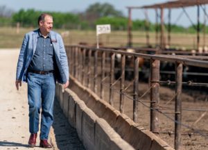 A man, Patrick Stover, walks beside the feed bunk in a cattle feedlot. 