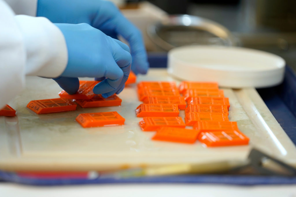 orange slides of test material for chronic wasting disease sit on a counter in front of the gloved hands of a lab technician