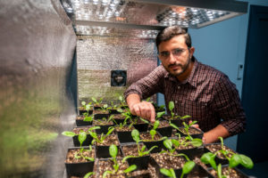 Azlan Zahid stands in a controlled-environment agriculture facility with plants in small containers where automation and artificial intelligence can be used to improve production