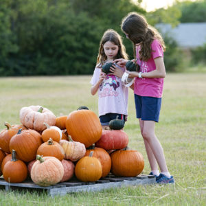 Two girls stand over a pile of pumpkins
