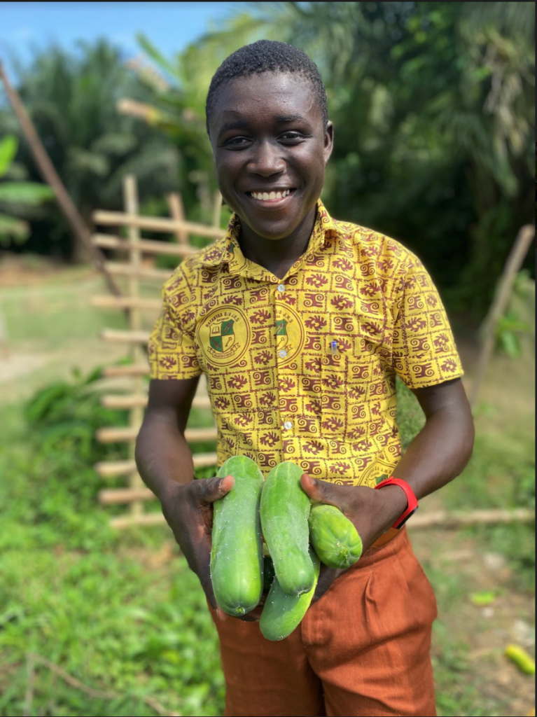 Man holding cucumbers from the garden