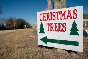 Sign for a Christmas tree farm